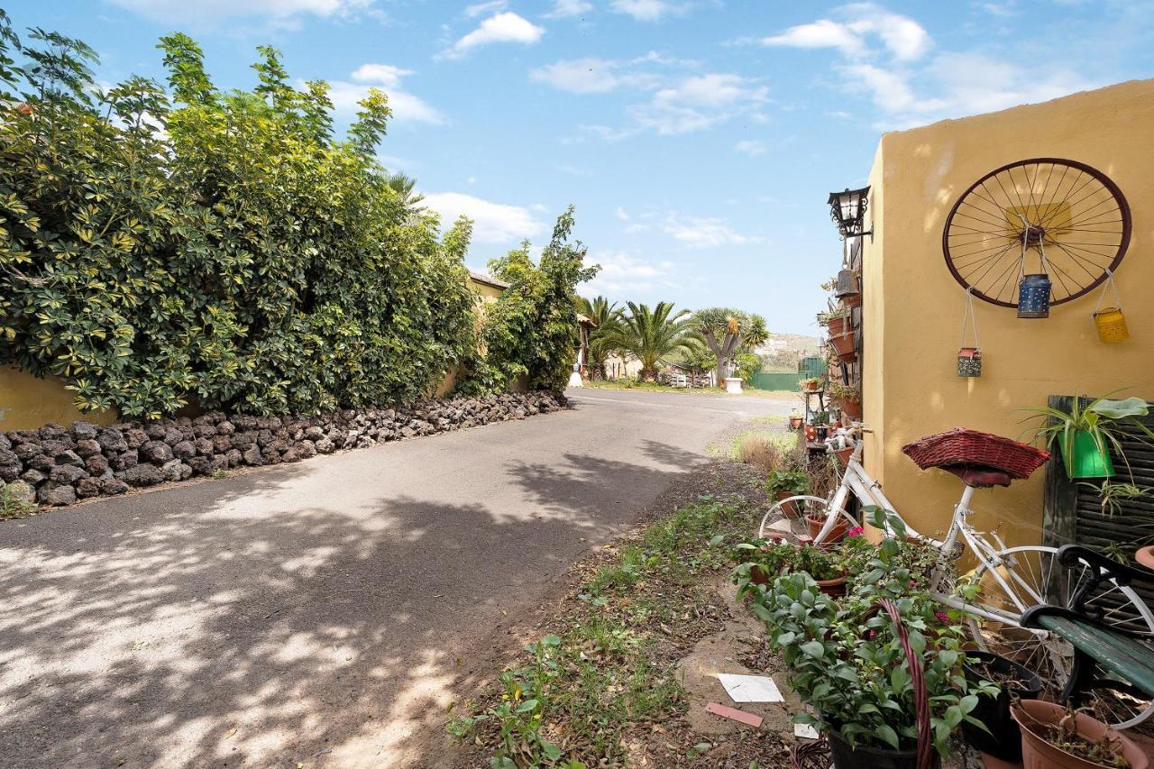 Apartamento P Armonia Rural Granadilla De Abona Zewnętrze zdjęcie
